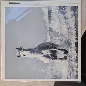 Papyrus x Woodmansterne Blank Card